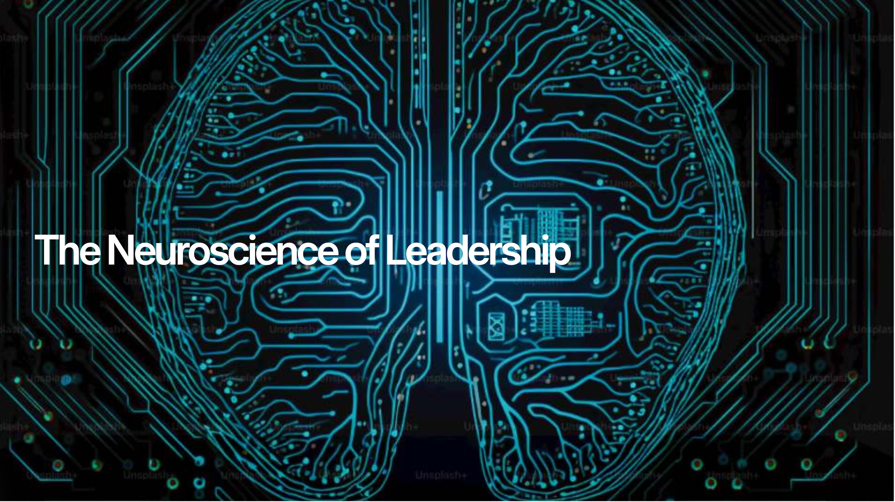 The Neuroscience of Leadership